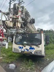 MechLink:2014 Yangtze TTC025G 25t Truck Crane