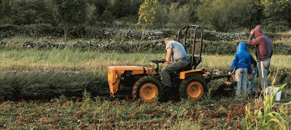 Mechlink:10 simple tractor maintenance checks to prepare for spring