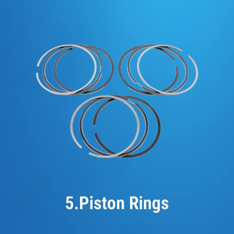 5-Piston-Rings for tactor