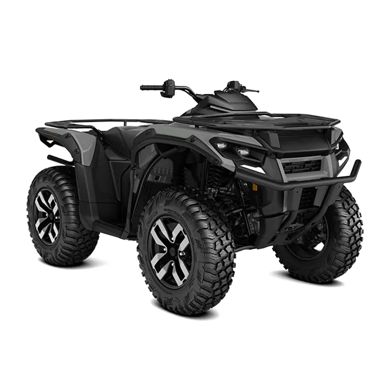 Mechlink:can-am 代表什么？